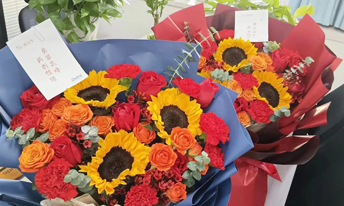 以夢為馬,不負(fù)韶華